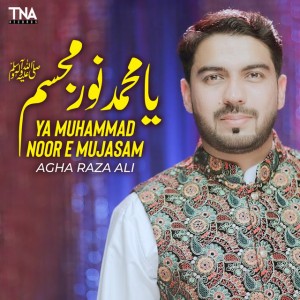 Agha Raza Ali