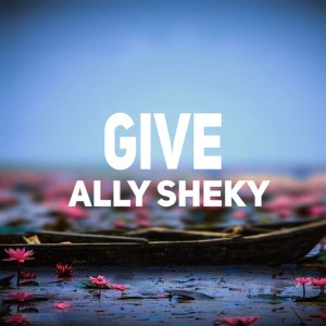 Ally sheky