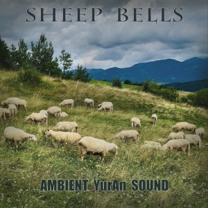 Ambient Yuran Sound