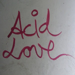 Acid Kid 303