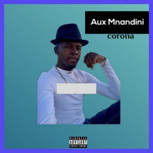 Aux Mnandini