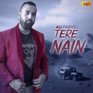 Ali Parvej