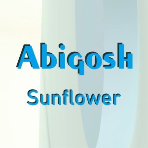 Abigosh
