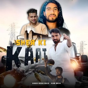 Alam malik