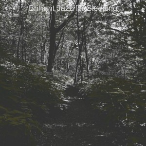 Brilliant Jazz for Sleeping