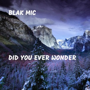 Blak Mic