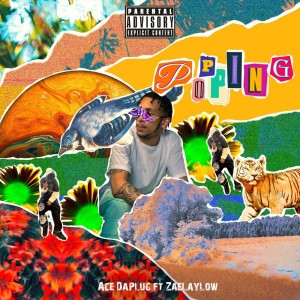 acethaplug