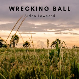 Aiden Lowecsd