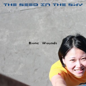Bionic Wounds
