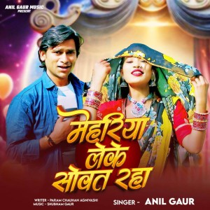 Anil Gaur