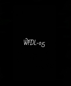 WFDL-05