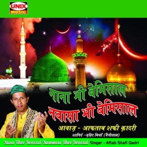 Aftab Shafi Quadri