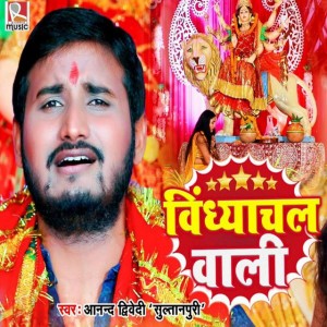 Anand Diwedi "Sultanpuri"