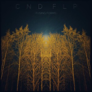 Cnd Flp