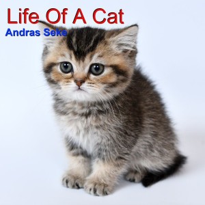 Andras Seke