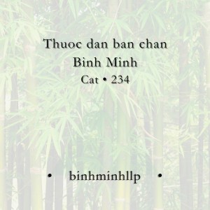 binhminhllp
