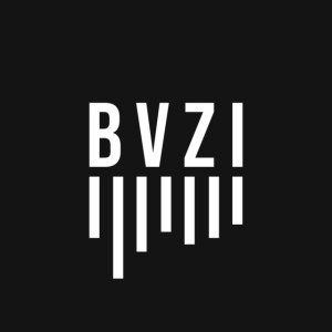 BVZI