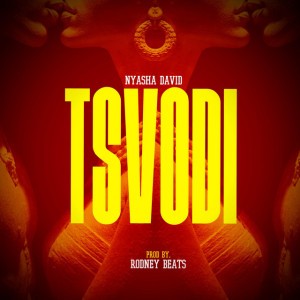 Tsvodi by Nyasha David