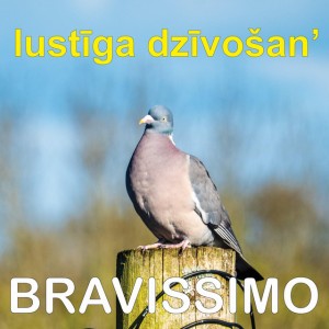 Mazs Kukainits Pa Juru Peld
