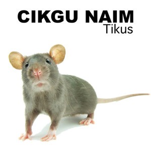 Apa Khabar Yang Berhormat