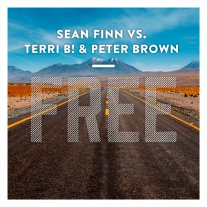 Free - Sean Finn Mix