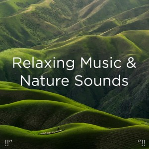 Relaxing Rain Sounds