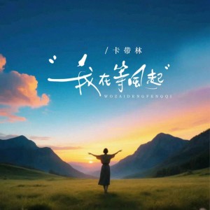 我在等风起