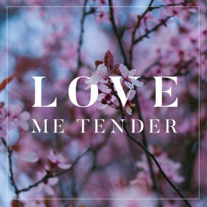 Love Me Tender - Acoustic Cover