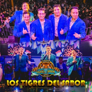No Sufriré por Nadie - En Vivo