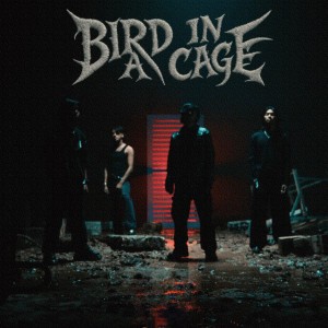 Bird In A Cage