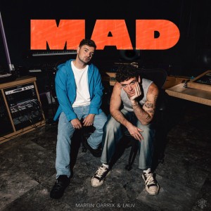 MAD by Martin Garrix & Lauv