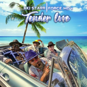 Tender Love - Bachata Pop
