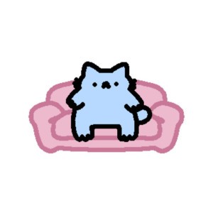 sofa cat