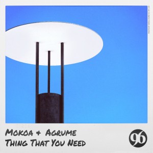 Thing That You Need (Radio Edit)