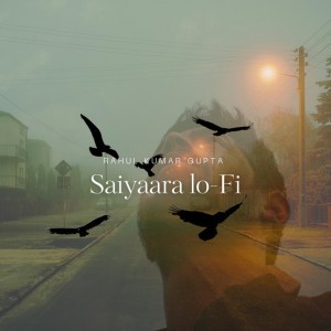 Saiyaara lo-Fi