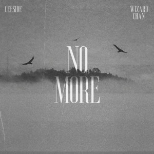 No More - II