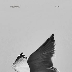 Seagull