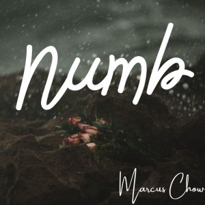 Numb
