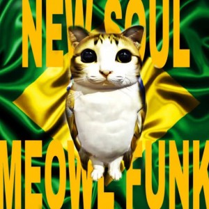 NEW SOUL MEOWL FUNK (SUPER ULTRA SLOWED)
