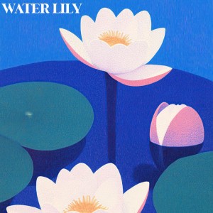 Water Lily
