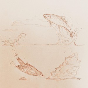 The Bird and the Fish