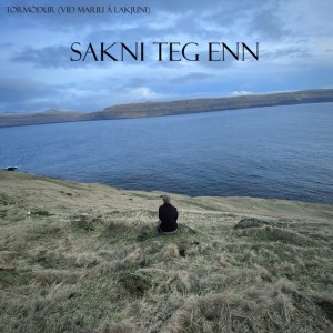 Sakni teg enn