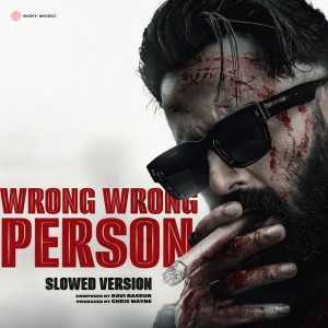 Wrong Wrong Person - Slowed Version