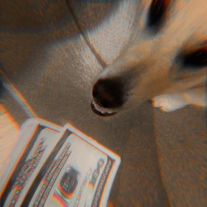 Vaesed
