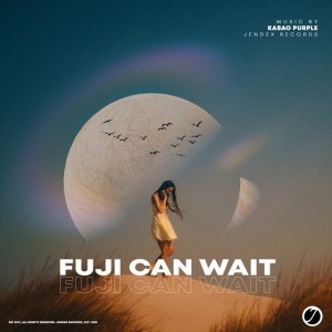 Fuji Can Wait - Radio Edit