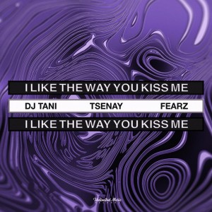 i like the way you kiss me - Techno