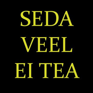 Seda veel ei tea