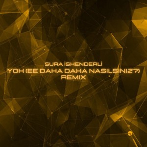 YOK (Ee daha daha nasılsınız?) - Remix