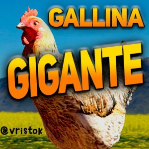 Gallina Gigante