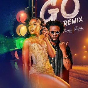 Go - Remix